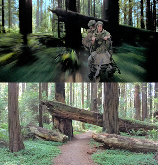 Illustration for article titled 36 years later, Return Of The Jedi's Tatooine and Endor filming locations remain mostly unchanged